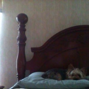 Meet your Posher, Sharon